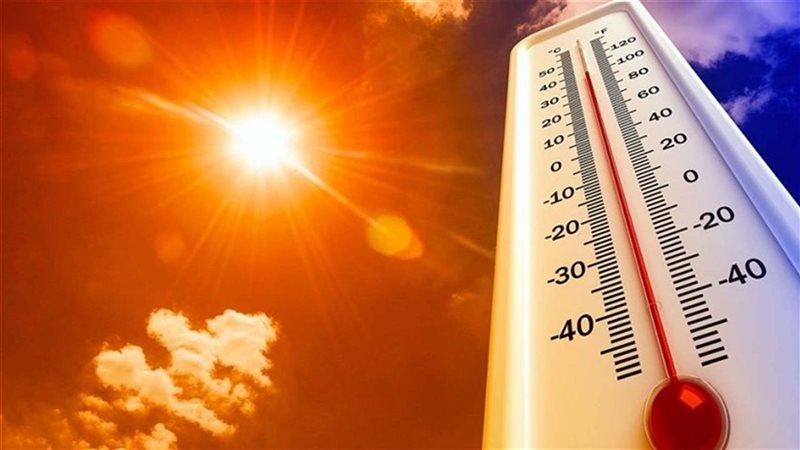 الولايات المتحدة،