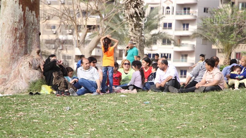 بداية توافد الزوار
