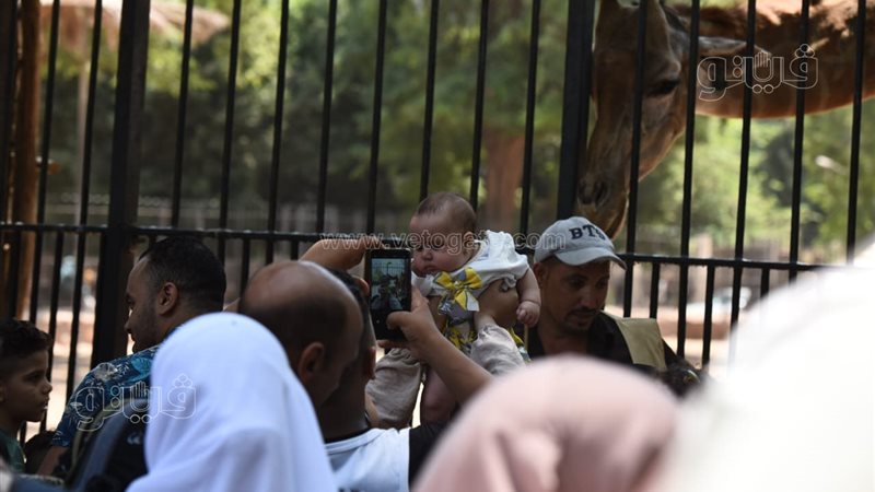 تطوير حديقة الحيوان،