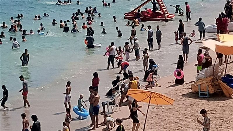 شواطئ الإسكندرية،فيتو