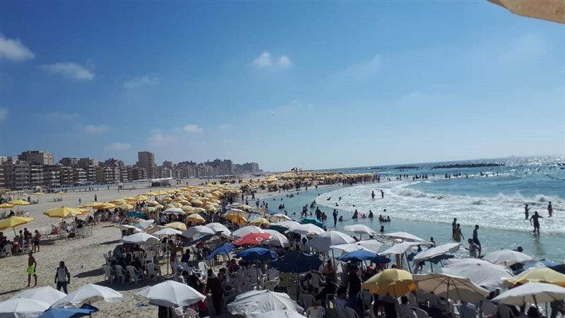 شاطىء النخيل بعد