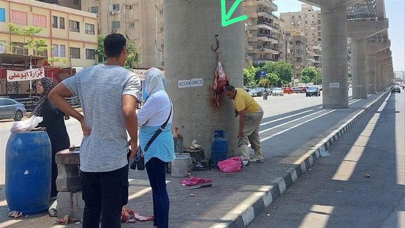 الجزار المتهم، فيتو
