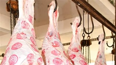 وزير الأوقاف ومحافظ القاهرة يتفقدان تجهيز لحوم الأضاحي غدا 