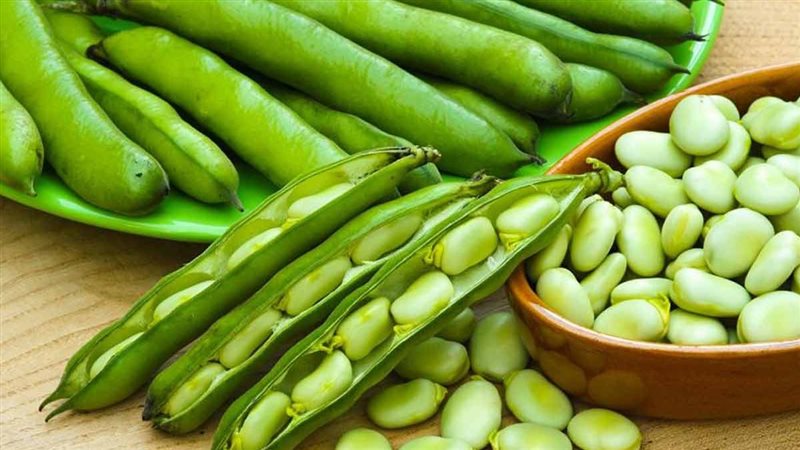 تفسير رؤية الفول