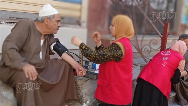 مبادرة 100 يوم صحة،فيتو