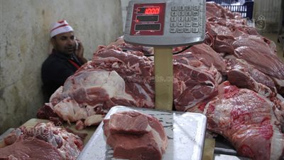 وزير الأوقاف ومحافظ القاهرة يتفقدان تجهيز لحوم الأضاحي بمجزر البساتين (فيديو وصور) 