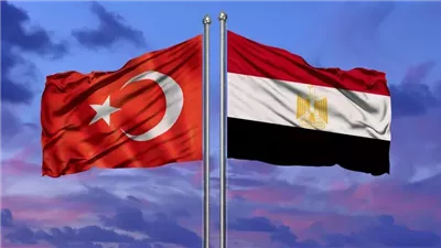الخارجية: رفع العلاقات الدبلوماسية بين مصر وتركيا إلى مستوى السفراء