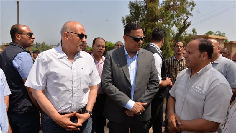 محافظ الدقهلية وزير