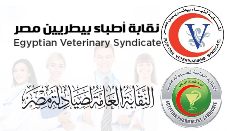 حادث مدينتي، فيتو