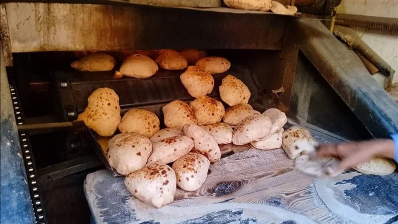 خبز مدعم بمخابز الأقصر