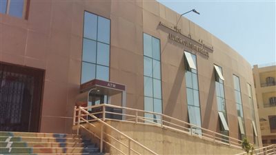 الثقافة تحتفي بذكرى ثورة 30 يونيو في الأقصر
