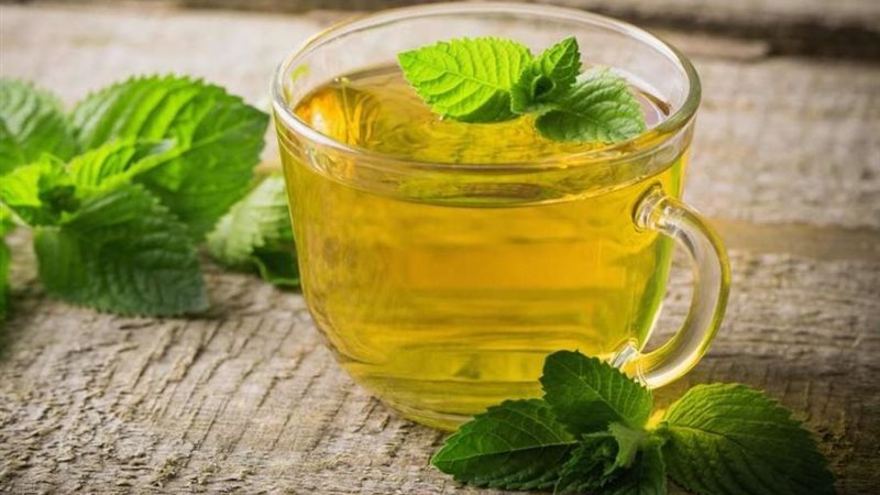 فوائد النعناع المغلي،