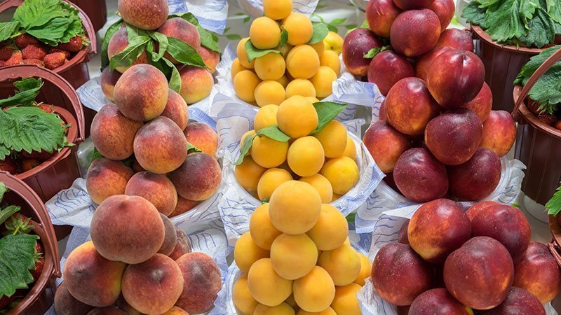 أسعار الفاكهة اليوم،