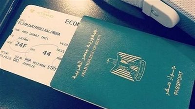 موقف الزوجة والأبناء حال تجنس الزوج بجنسية غير المصرية