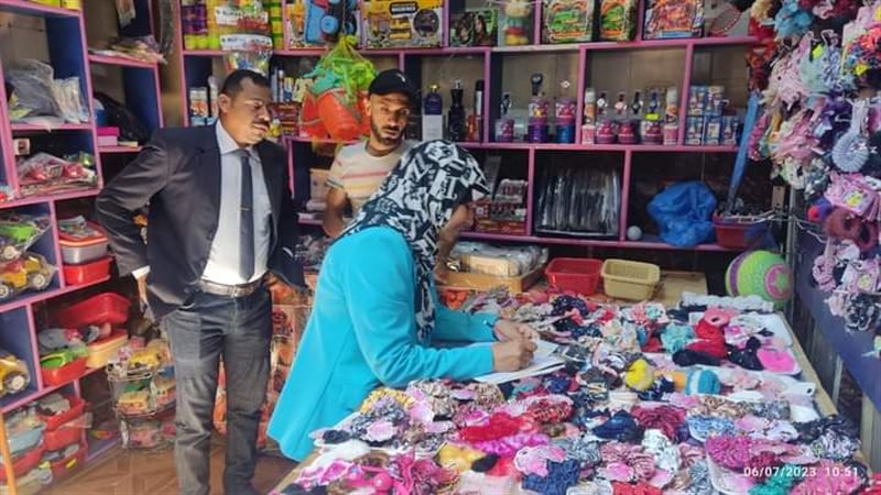 حملات الوادي الجديد،