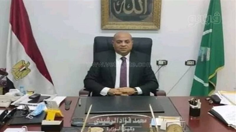 المهندس محمد فؤاد