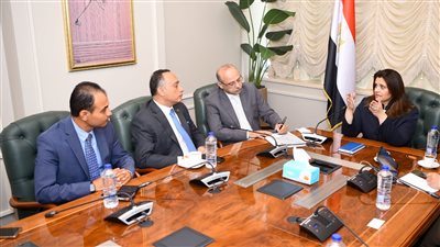 سها جندي: نتطلع للاستفادة من خبرات الأطباء المصريين في الخارج