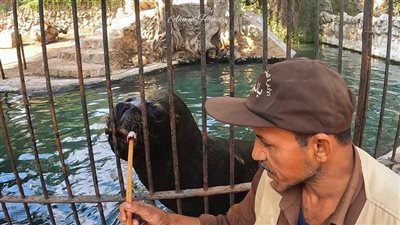نقل طيور حديقة الحيوان إلى الأورمان بشكل دائم وضم الحديقتين إداريا 