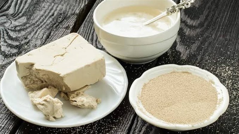 خميرة البيرة وفوائدها،
