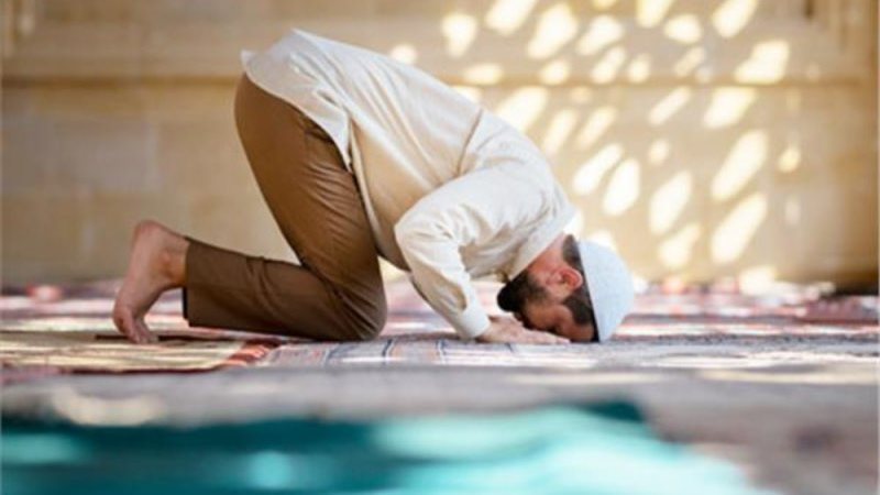 صلاة الضحى،فيتو