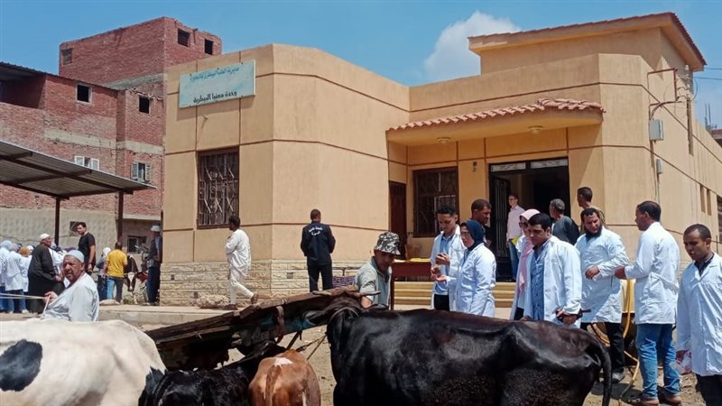 علاج وتحصين 24463