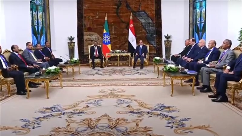 لقاء السيسي ورئيس