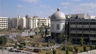 جامعة الفيوم تنظم ورشة عمل عن مشروعات حياة كريمة