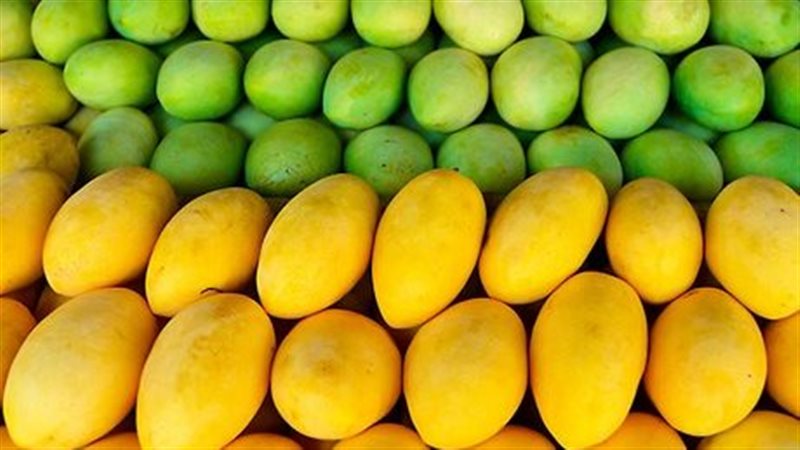 أسعار المانجو، فيتو