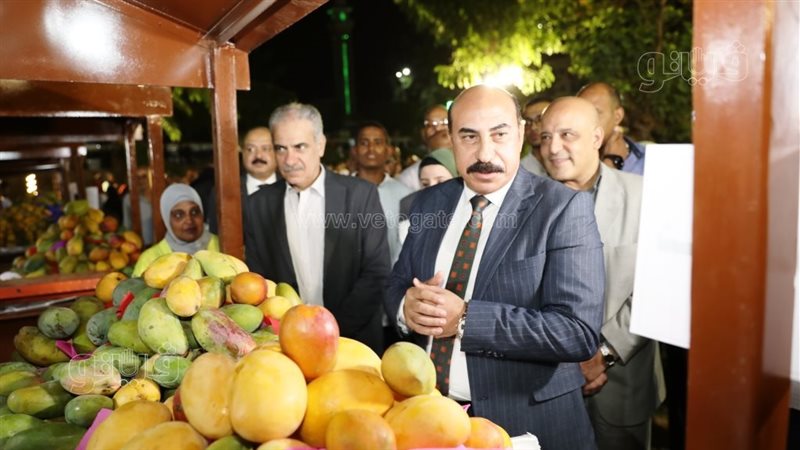  محافظ أسوان اللواء