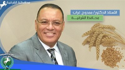 توريد 81 طن قمح لصوامع الشرقية