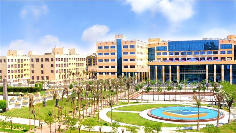 جامعة ٦ أكتوبر، فيتو