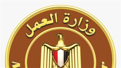 العمل تنظم ملتقي توظيفي لذوي الهمم في بورسعيد 