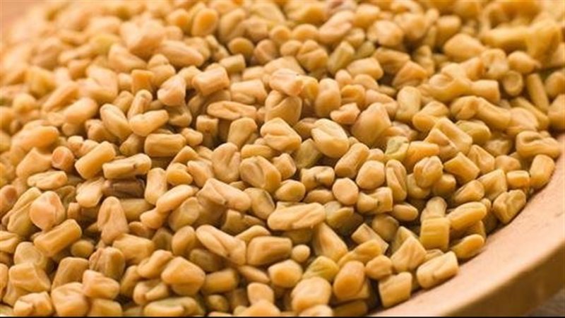 فوائد الحلبة، فيتو