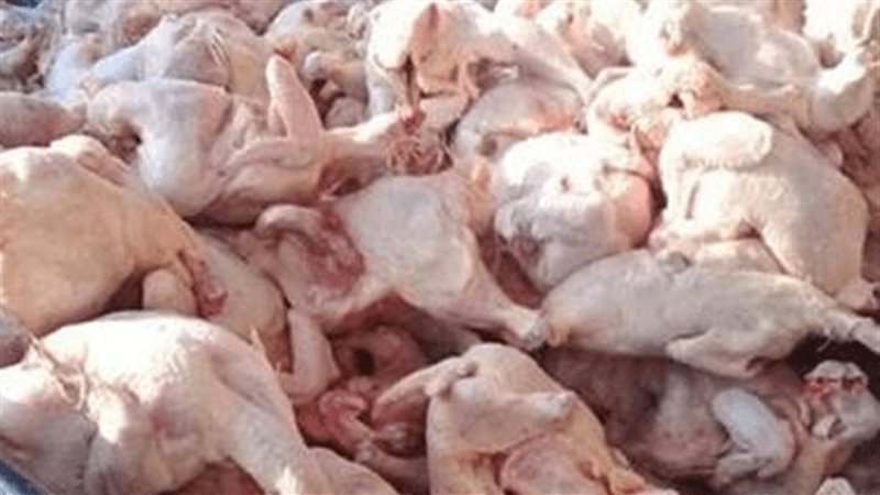دواجن مجهولة المصدر،