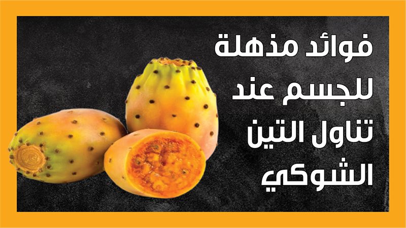 فوائد التين الشوكي،