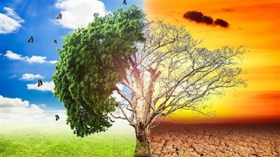 الزراعة توجه باحثيها إلى العمل على استغلال التغيرات المناخية في إنتاج محاصيل جديدة 
