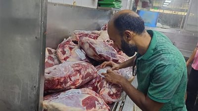 التحفظ على لحوم مجهولة المصدر بالقليوبية