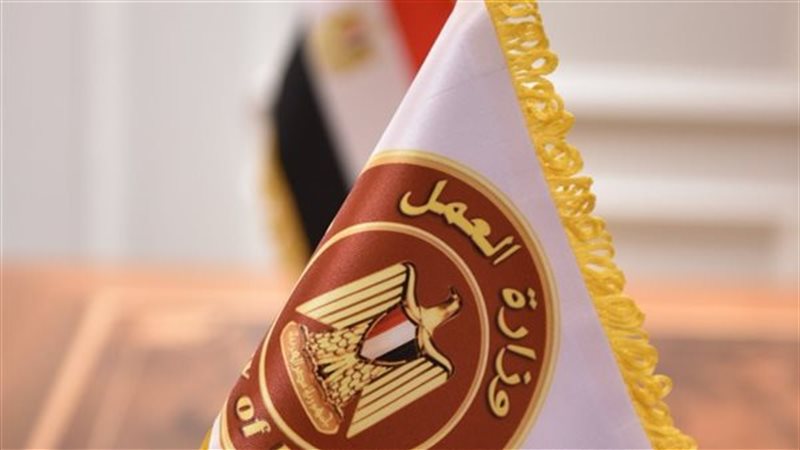 وزارة العمل،فيتو