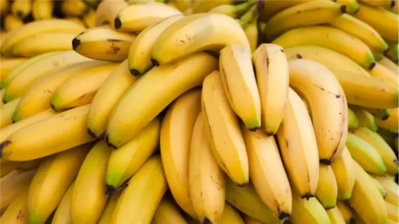 أسعار الفاكهة اليوم،