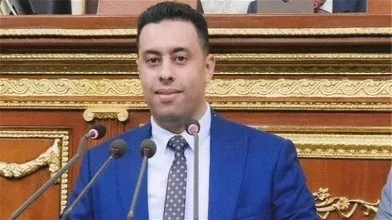 النائب أحمد فرغلى،
