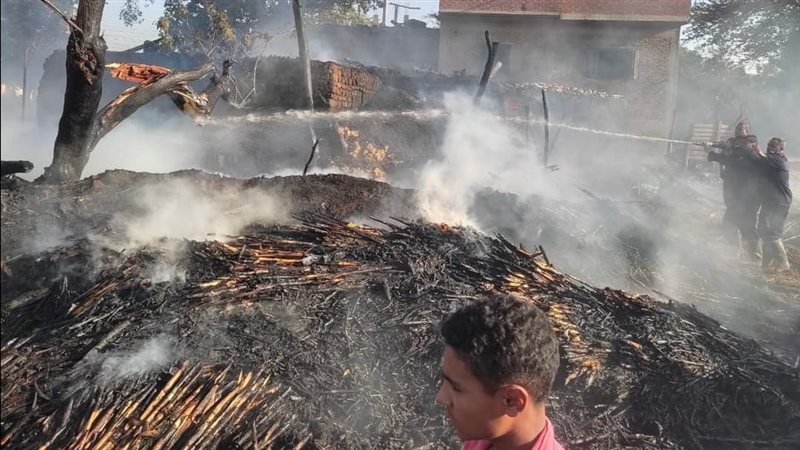 حظيرة مواشي، فيتو