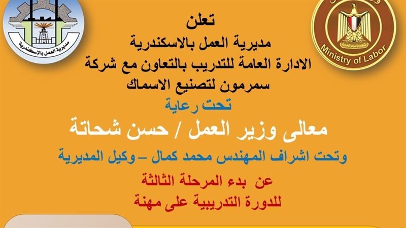وزارة العمل،فيتو