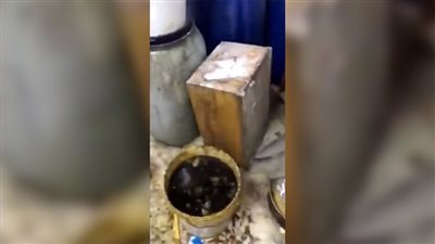 فيديو صادم لتصنيع عسل النحل من زيت السيارات يثير غضب النشطاء (فيديو)