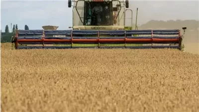 التموين: غلق موسم توريد القمح في أغسطس، والاحتياطي الاستيراتيجي يكفي 5 شهور