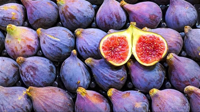 أسعار الفاكهة اليوم،