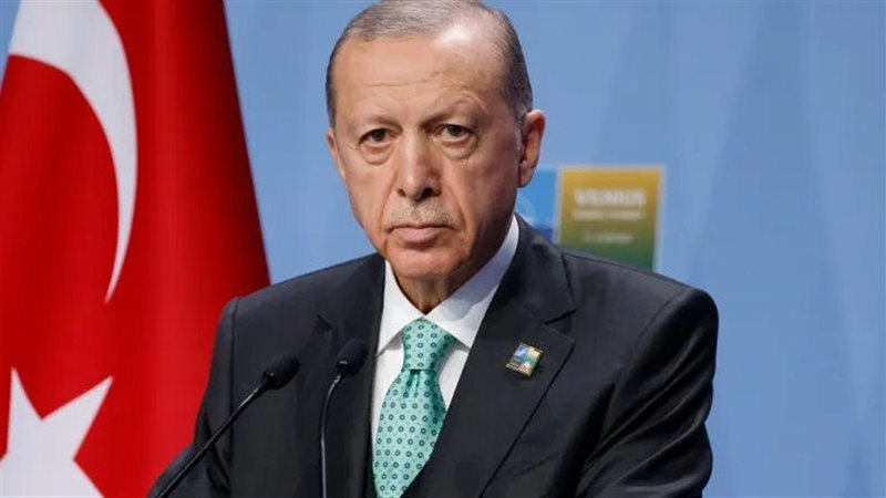 أردوغان، فيتو