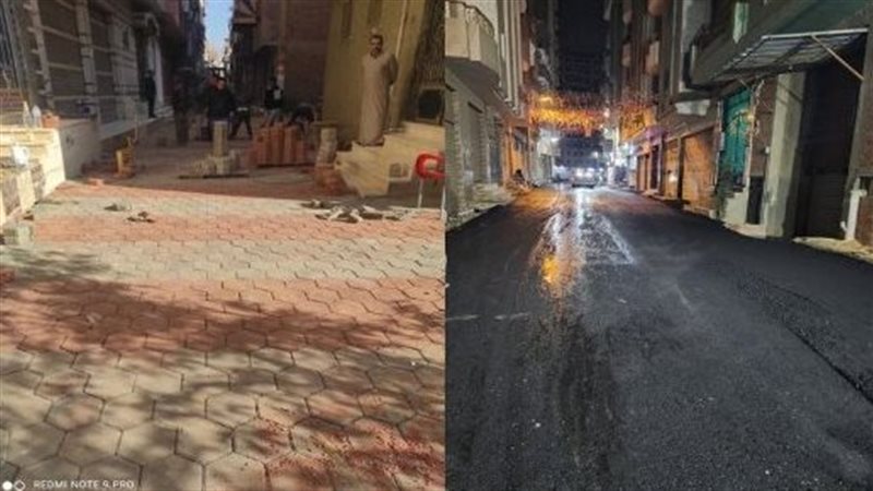 محافظ الشرقية:250