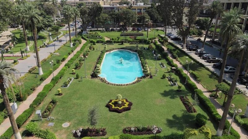 جامعة عين شمس، فيتو