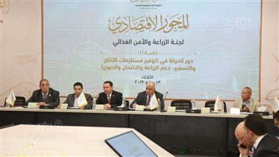 وكيل خطة البرلمان يطالب بتشكيل لجنة لتحديد أسباب مشكلة الدين العام 