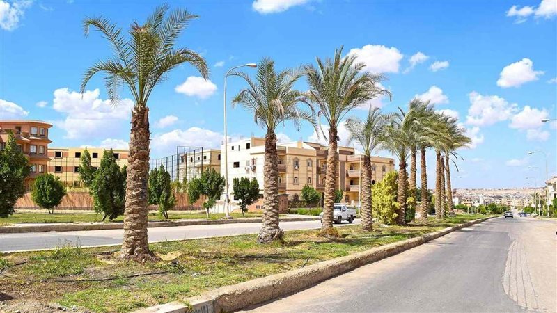 العبور الجديدة،فيتو